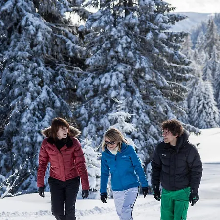 Michel 02 Im Haus Schwarzwaldmarille- Todtnauberg, Feldberg Daire *