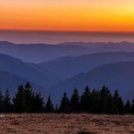 Michel 02 Im Haus Schwarzwaldmarille- Todtnauberg, Feldberg * Todtnau