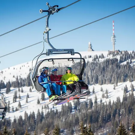 Daire Michel 02 Im Haus Schwarzwaldmarille- Todtnauberg, Feldberg Todtnau