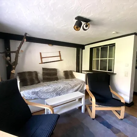 Michel 02 Im Haus Schwarzwaldmarille- Todtnauberg, Feldberg Daire Todtnau