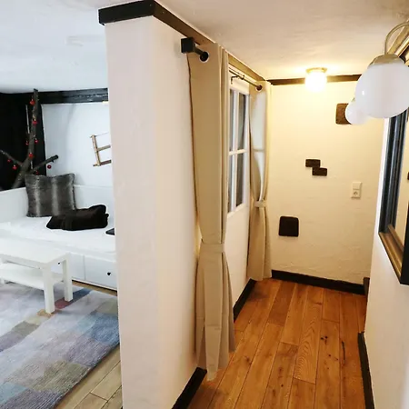 Michel 02 Im Haus Schwarzwaldmarille- Todtnauberg, Feldberg Daire