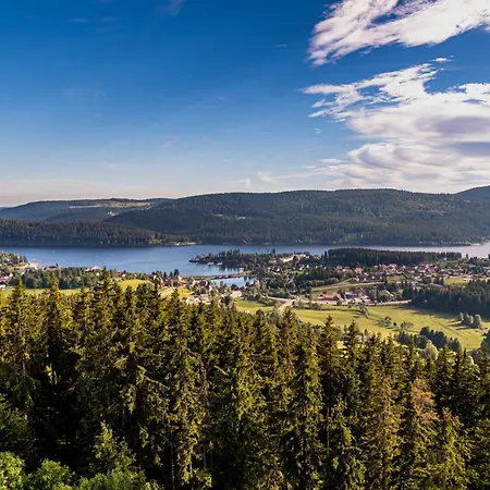 Michel 02 Im Haus Schwarzwaldmarille- Todtnauberg, Feldberg *