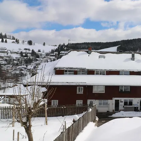 Michel 02 Im Haus Schwarzwaldmarille- Todtnauberg, Feldberg Daire *